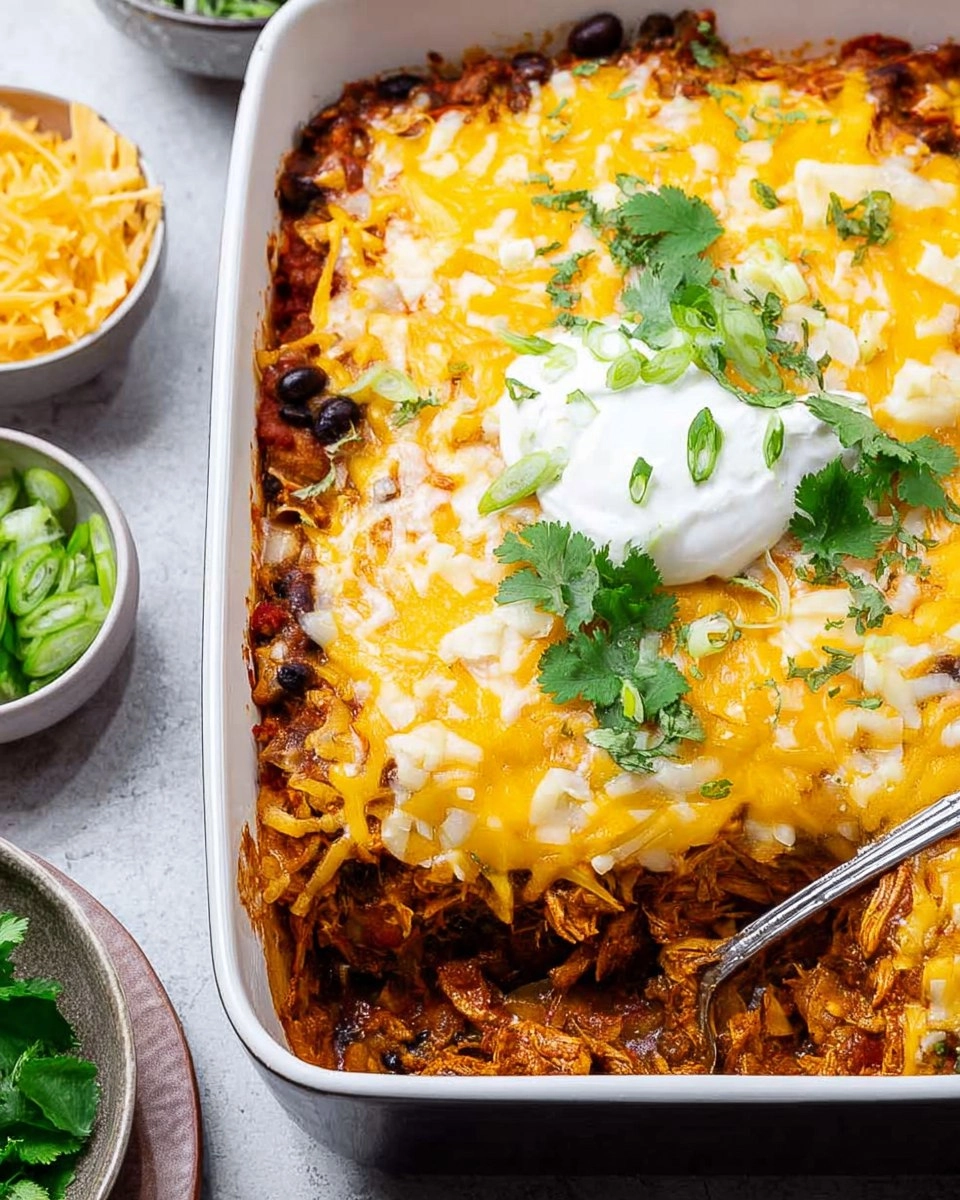 Chicken Enchilada Casserole 76 Chicken Enchilada Casserole